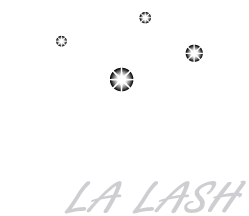 Viva La Lash Logo